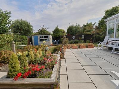 Picture 20